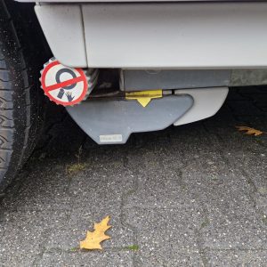 Kip Grey-Line 44 TDB - Afbeelding 6